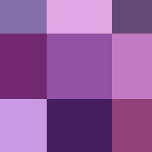 Meet your Posher, Gracua